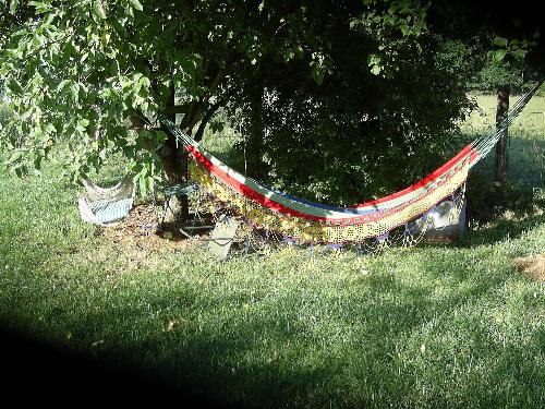 my hammock under the apple trees - This shot was taken at about 7AM or thereabouts, and that is the only time there is ever any sun under there. The rest of the time it is cool breezy shade scented with the honeysuckle growing on the other fence that is not shown in the photo.