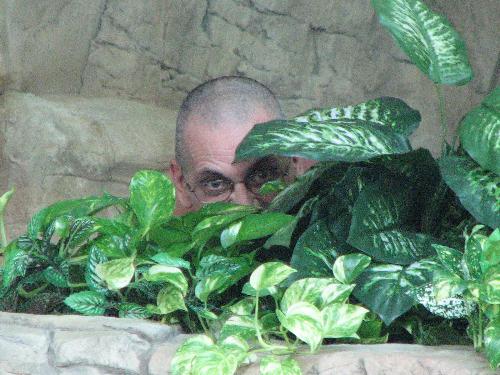 Being Silly - He may be a grandpa but he doesnt have to act like one