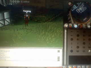 Agility arena - A picture of the agility area at the Gnome Stronghold.