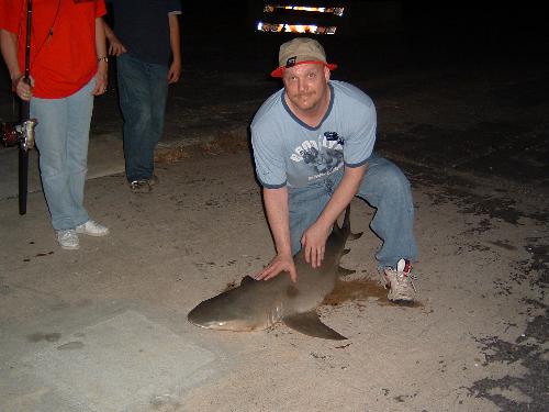 Chad's Shark - Chad and the 5feet 6 inch Sand Tiger Shark.
