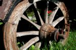 Wheel - a wooden wheel