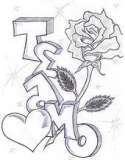 team rose - this is a picture I came across and it was very well done so I am sharing it.