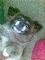 Gissi - Gabs Best Friend!