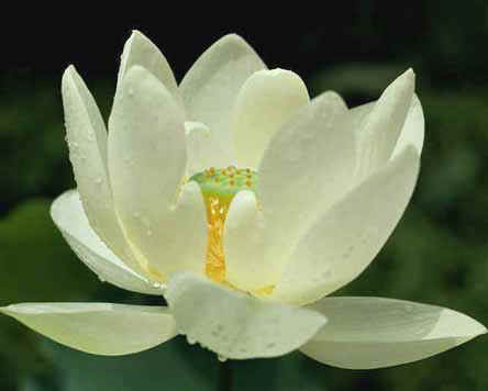 Image - Image..
