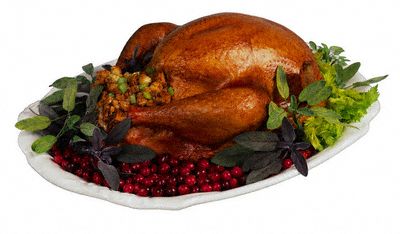 chicken - ym ym ym ym....!!