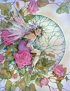 Morning rose - just that