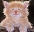 happy life - feel happy all the time, bee happy,keep silence,