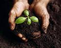 Grow  -  Start growing