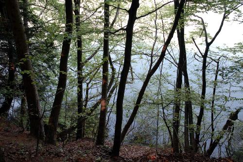 real ghost stories - Do you have a ghost story to share? 