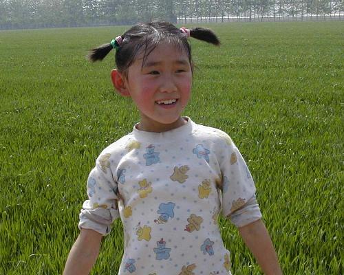 nature - I took the picture in the fields in 2003