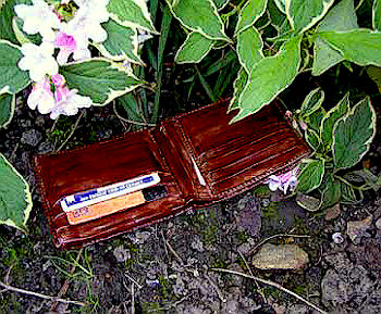 lost wallet in shrubs - brown supposedly-lost wallet with credit cards inside unknowingly lost in the bushes