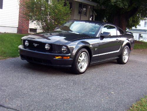 my lil pony - mustang gt