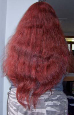 Now THIS is hair! - This was my hair at the beginning of this year before the hairdresser hacked half of it away!