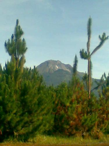Mt. Apo - Nice view of mt. apo taken early in the morning because after 9am can no longer see the mountain because of fogs.