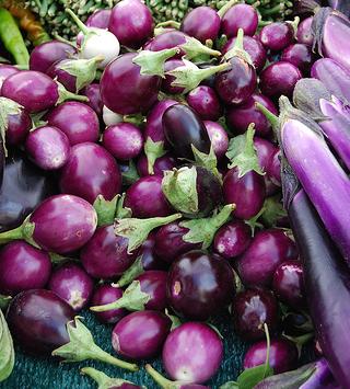 Eggplant - Baby eggplant