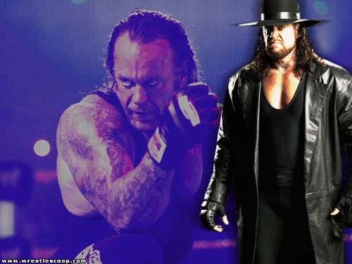 The undertaker - The undertaker,the phenom