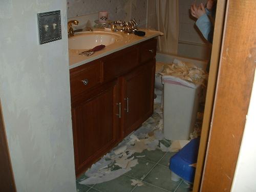 Bathroom - Continuation of demo, beginning of demo clean up