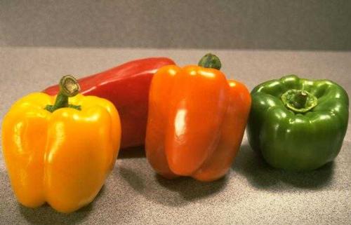 vegetables - pepper (red,green and yellow).