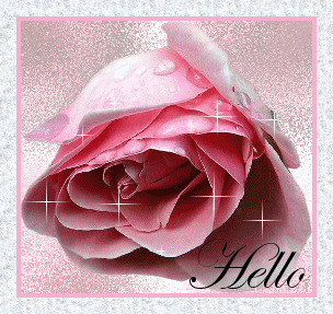 hello to all - pretty rose to say hello that was emailed to me.