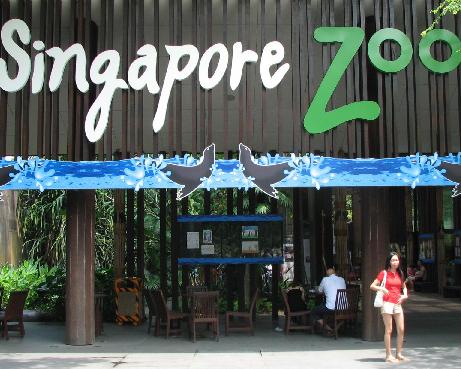 singapore zoo - LOL! yeah, my baby and i went to singapore zoo.,i had fun seeing different kinds of animals.,hope to be back there soon.,miss you baby!