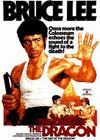 Bruce Lee is my idol. - I like Chinese Kungfu and Bruce Lee is my idol.