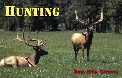 Hunting - Is hunting cruel or needed?