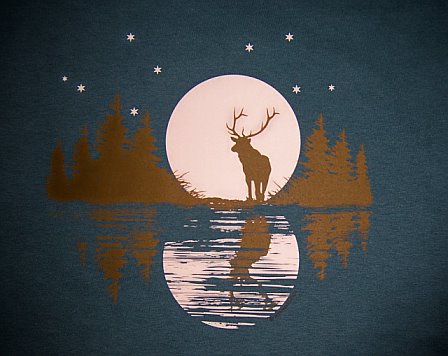 Full moon - Full moon reflecting off water with an Elk nearby.