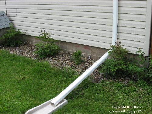 New Landscape feature - Transplanted a few Astillibes finally