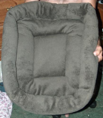 Doggy Bed - The first doggy bed my husband and I made. Doggy Bed - The first doggy bed my husband and I made.