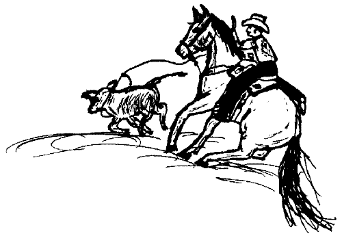 Cowboy Riding  - Cowboy on horseback roping calf.