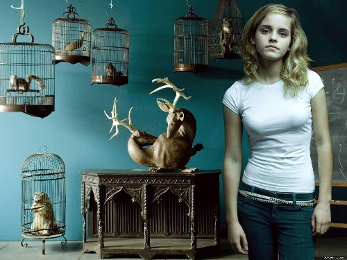 emma 8 - emma watson photos 8