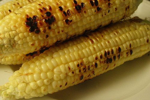 Corn - corn..