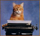 Typing - An orange colored cat using the typewriter.