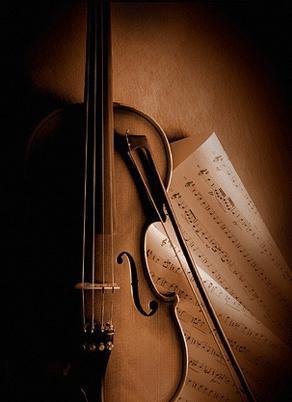 violin - ...