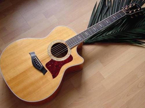 acoustic guitar - ..