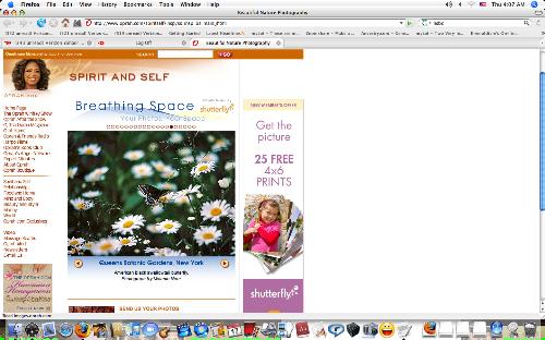 My Butterfly Photo On The Oprah.com Website - screenshot of my butterfly on daisies photo I submitted to Breathing Space on the Oprah.com website that was then posted on it