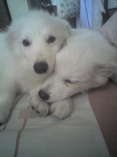 willow and xander - the one on the left is xander, the one on the right is willow