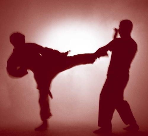 Martial Arts - This picture portrays the "martial arts" in action. This is a standing fighting style that could symbolize many types of martial arts like karate taekwondo, etc.