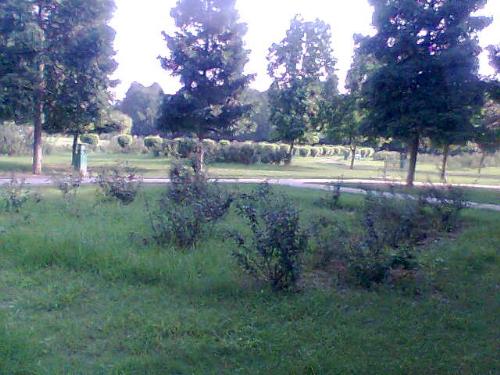 A park in the neighbourhood - This is a very big park, full of greenery. There are walkways. there is a fountain, picnic huts etc.