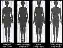 body shape picture  - various body shapes picture 