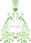 peacock - national bird of India