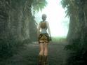 travel - travel into the woods
