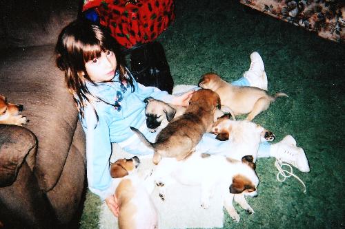 My niece and our dog Fluff's first litter of pups. - My niece Rebecca with our first litter of pups.