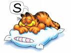 Sleeping Garfield - Garfield asleep on a pillow.