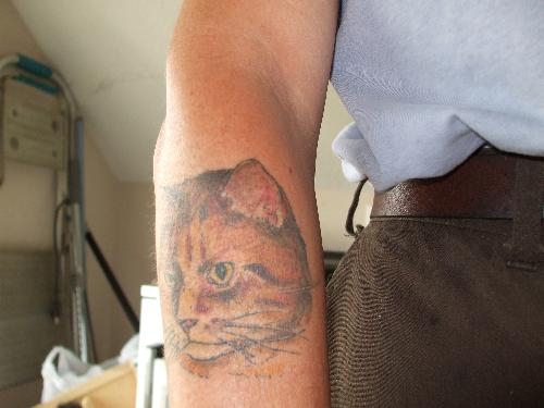 my tattoo - tattoo of my cat