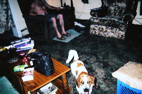 Freckles, my dog who died in January - This is my baby girl Freckles who died back in January of this year. In the background you will see my hubby sitting in his chair. Freckles, my dog who died in January - This is my baby girl Freckles who died back in January of this year. In the background you will see my hubby sitting in his chair.