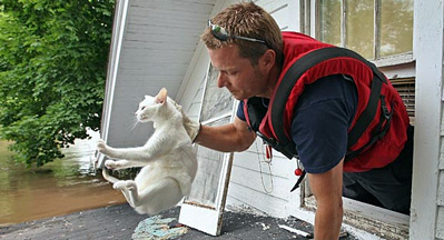 Cat Being Rescued From Flooded Home - cat being rescued during Iowa flood