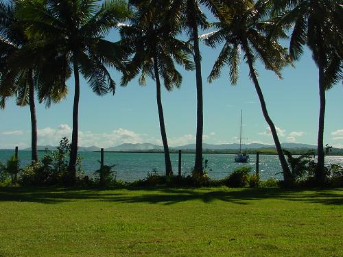 Saweni Bay - Saweni Bay through the palm trees outside my lodge in Fiji