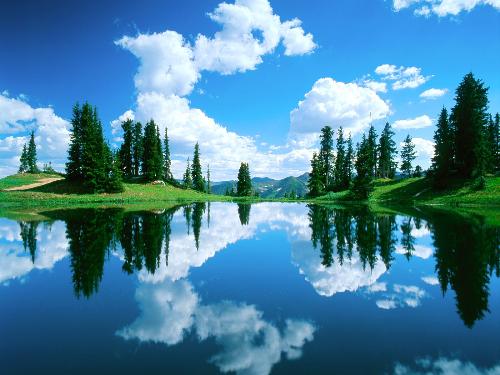 Nature - Nature scene