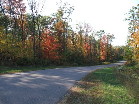 Fall in Wisconsin - Road lined with pretty trees